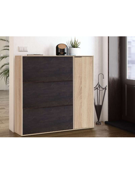 Oxis Shoe Cabinet 3 Flip-Down Doors + 1 Side Door | Kitdescans