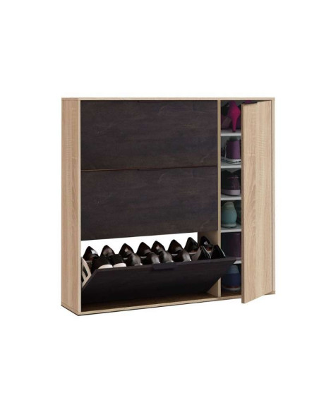 Oxis Shoe Cabinet 3 Flip-Down Doors + 1 Side Door | Kitdescans