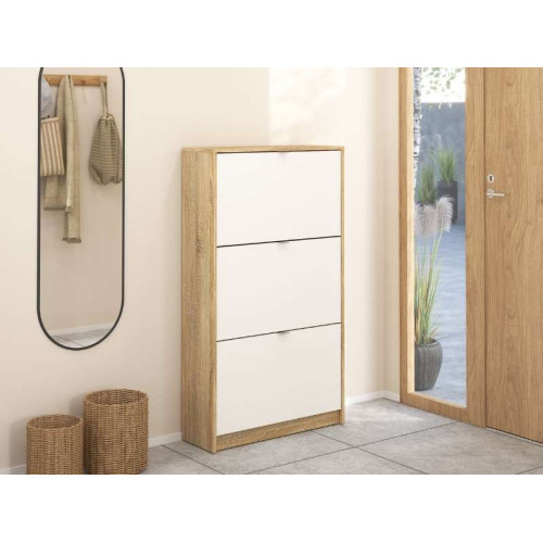 Zapatero 3 Puertas Basculante / 2 Espacios | Kitdescans