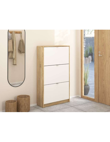 Shoe Rack 3 Doors with Lift System / 2 Spaces | Kitdescans Shoe Rack 3 Doors with Lift System / 2 Spaces | Kitdescans