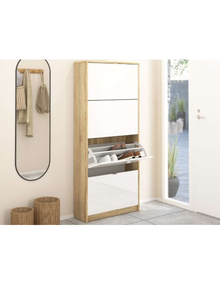 Shoe Rack 4 Doors with Lift System / 2 Spaces | Kitdescans