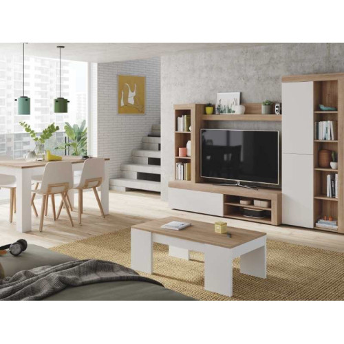 Mueble de Salón Ervin | Kitdescans