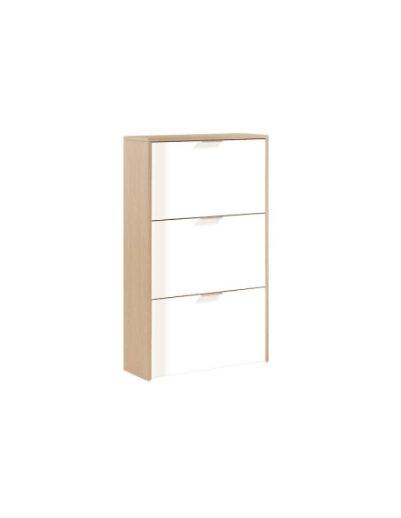 comprar online Zapatero 3 Puertas Basculantes