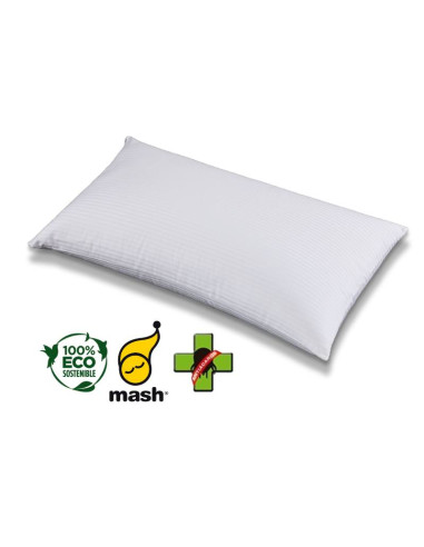 Anti-Dust Mite Pillow | Kitdescans