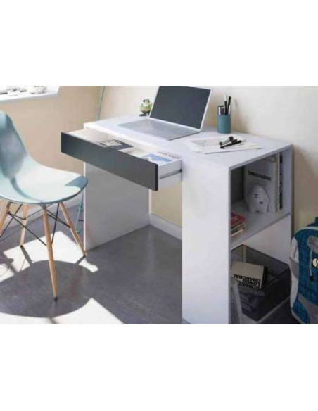 Master Desk | Kitdescans